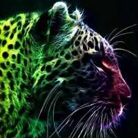 Kinetic Meow (@kineticmeow) 's Twitter Profile Photo
