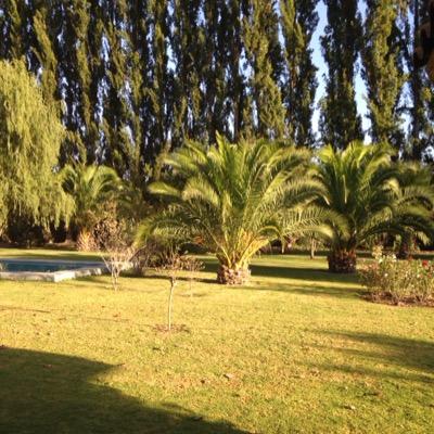 Libertad, Tolerancia, Sinceridad, lo q + admiro. Apatía ,Flojera ,Ingenuidad detesto.Un pueblo q aún cree promesas de la izquierda “siga participando”
