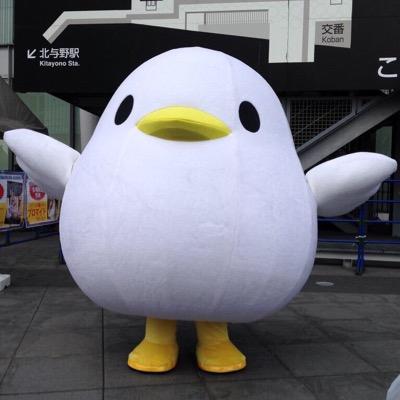 みー訓 8月から本格復帰かも 文春砲って 結局 浪川大輔 さんだったんだよね なんかtwitterに上がっていた人達の話だと思ったから 吉本新喜劇やひな壇芸人達の一斉のズッコケしている気分 いや 浪川大輔さんのファンからしたらそれどころじゃないん みー訓 8月から本格復帰かも 文春砲って 結局 浪川大輔 さんだったんだよね なんかtwitterに上がっていた人達の話だと思ったから 吉本新喜劇やひな壇芸人達の一斉のズッコケしている気分 いや 浪川大輔さんのファンからしたらそれどころじゃないん