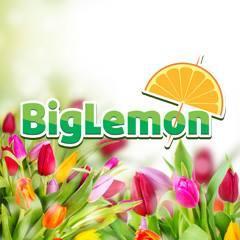 Biglemon.am