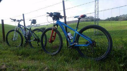 FernandoPaya's profile picture. 