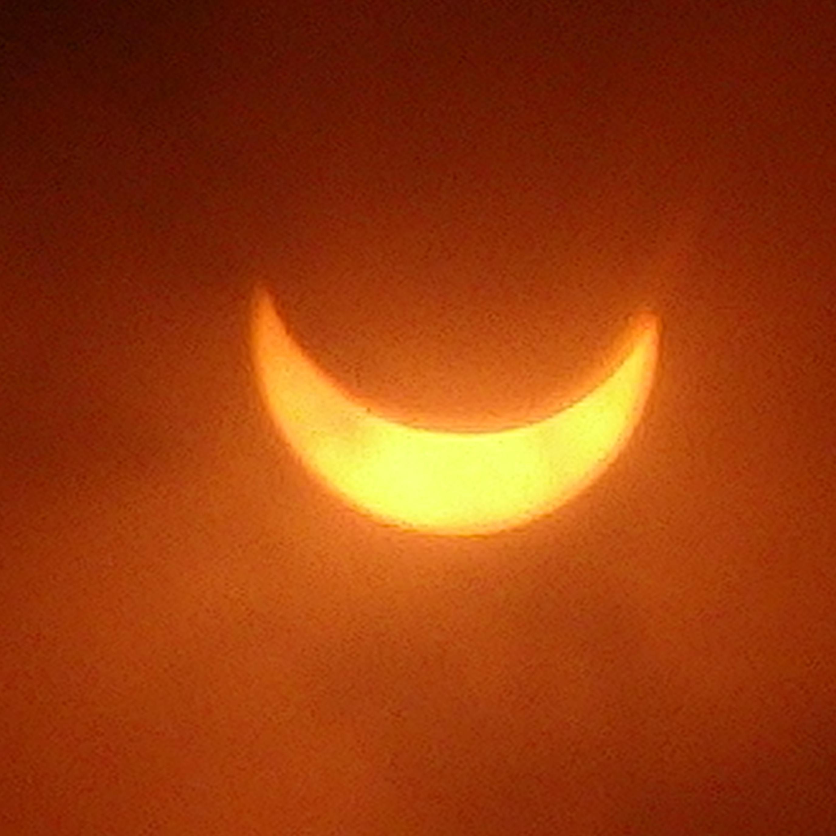 IamDidiLala's profile picture. 