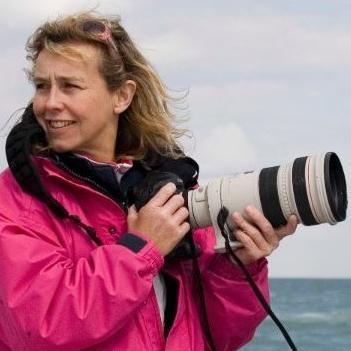 A professional photographer known for her artistic imagery. Specialised in Yachting & Equestrian - 100s corporate clients incl. McLaren in F1.