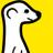 Meerkat Feed