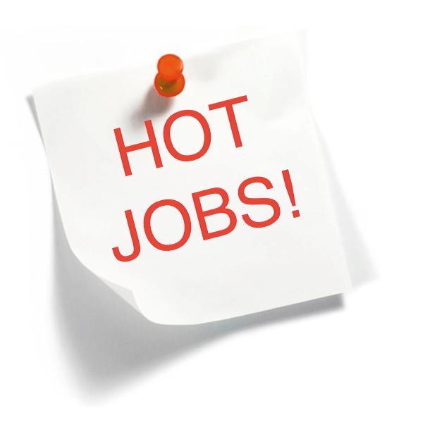 jobsearchworld1's profile picture. 