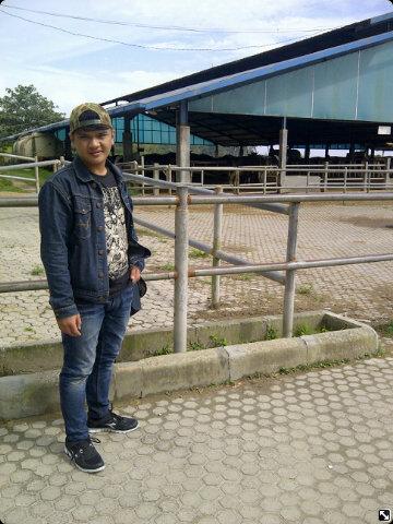 jojogaol1's profile picture. Bahagiakan ibu