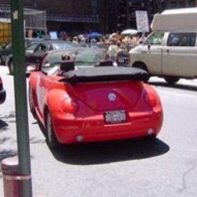 Animal lover, dog owner, humorist, political junkie,and procrastinator. Anipals tweet @dame_agnes.