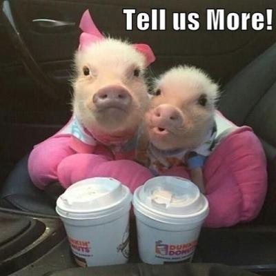 DM us if you want to talk or need advice 3
https://t.co/sfnaTpvC40