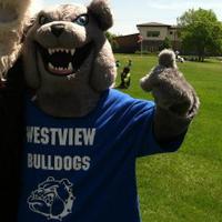 Westview Elementary (@wvbulldogs) Twitter profile photo