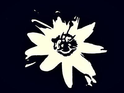 Graphic designer/Illustrator.    I also like science and stuff.
