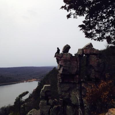 mjstrigel's profile picture. 