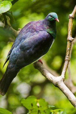 peace8813u's profile picture. 맞팔 100%♡