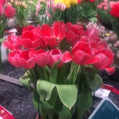 shawnshockey's profile picture. 