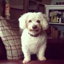 carrie applegate - @carrieapplegate - Twitter