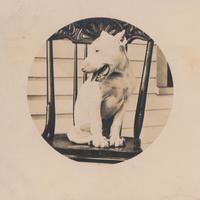 USD Archives and Special Collections(@USD_AandSC) 's Twitter Profile Photo