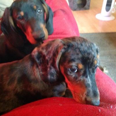 info08921122's profile picture. 