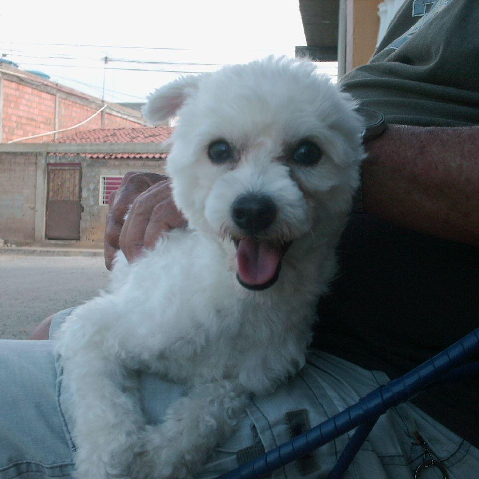 carlos777v1's profile picture. 