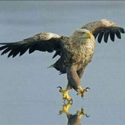 d1kidsports's profile picture. Party promoter, entrepreneur, #EDMSTYLE, #rapFiend, Connoiseur of life