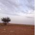 ضاوي السامي (@dhawisamy) Twitter profile photo ضاوي السامي (@dhawisamy) Twitter profile photo