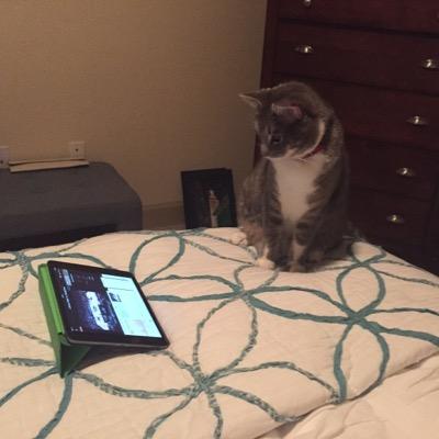 hoyas3244's profile picture. 