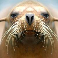 Suzanne Cachon (@scachon293) 's Twitter Profile Photo