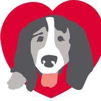 Coco's Heart Dog Rescue(@chdogrescue) 's Twitter Profileg