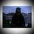 lulu_luciaperez's profile image