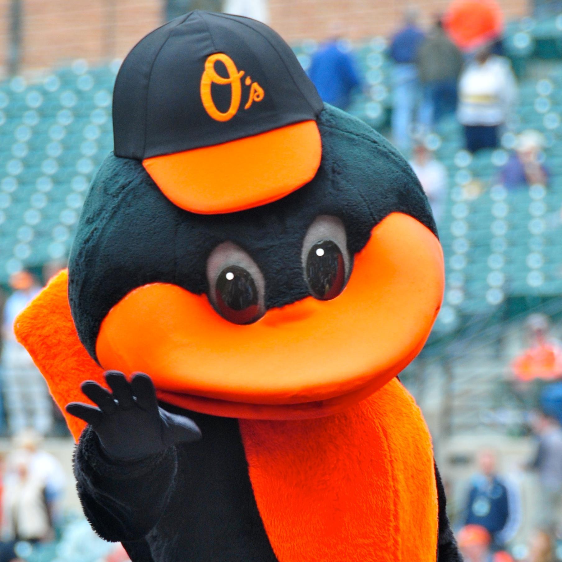 OriolesReporter Profile Picture