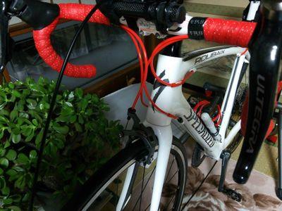 asuna9874's profile picture. 湯本→花南→富士大/野球/中日/ロード/剣道/漫画/アニメ