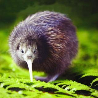 0831420weed's profile picture. あまりツイートしませんが、見てます！！