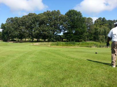 dedangreen's profile picture. Doing what I do...