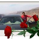 محمود سوالقه (@11a1a45f7b144cd) Twitter