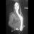ralip_96's profile image