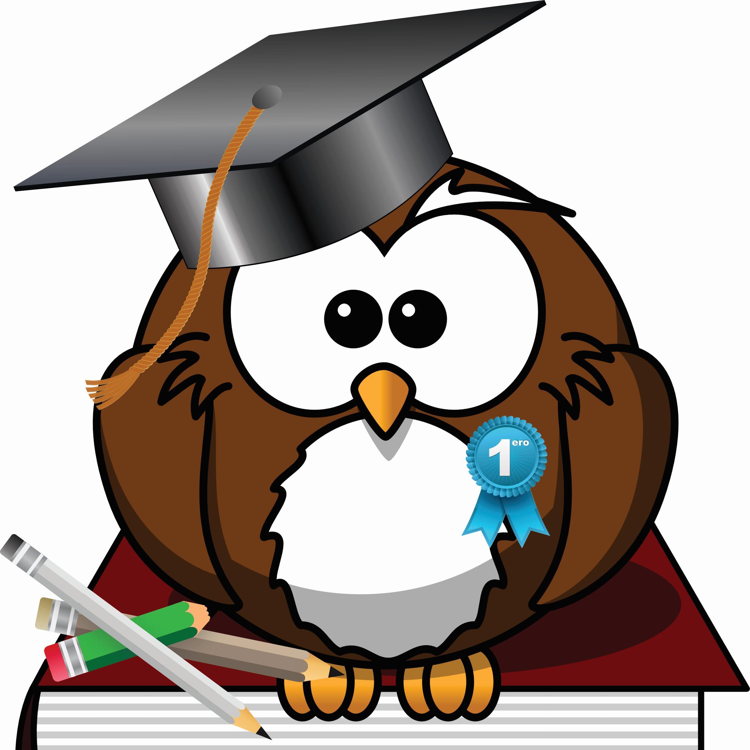 EXCELENTES CURSOS TEÓRICOS Y PRÁCTICOS, LISTO PARA EMPRENDER UN OFICIO O PROFESIÓN.