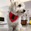 peter David bastock - @peterbastock - Twitter