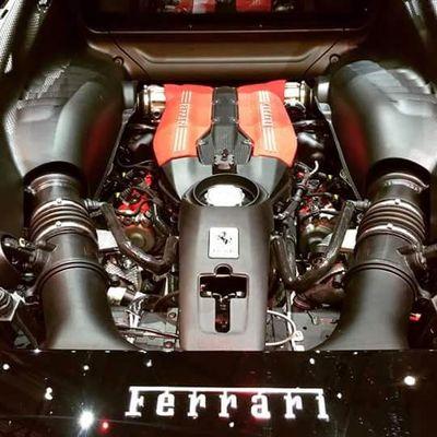 fabian_coluzzi's profile picture. 