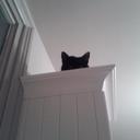 ANNE ELLIS - @annie53ellis - Twitter