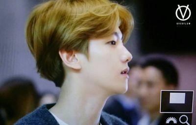 parody of byun baek hyun's92L — yaoi•uke