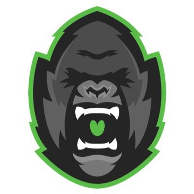 Official Twitter for Guerilla Gaming, LLC. Guerilla Gaming is a gaming organization seeking the best and brightest of competitive gamers.