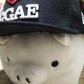 PeaceK24x7's profile picture. Irie Life ♪