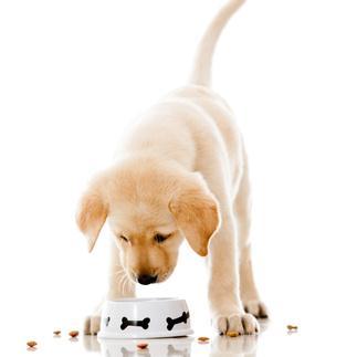 CentreBalou's profile picture. 