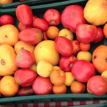 Growing food for our community.  https://t.co/1YDAM5ZfJ7 and https://t.co/ndT7exolDd