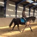 sally larsen - @sallydlarsen - Twitter