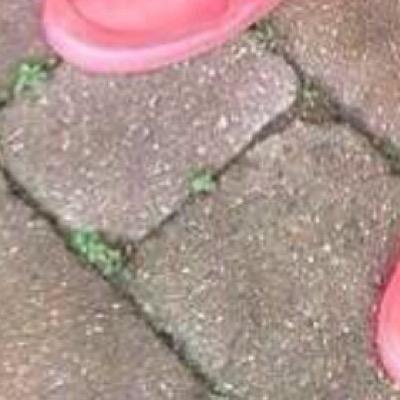 lebossdu26879's profile picture. 