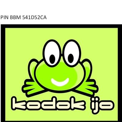 PIN BBM
541D52CA