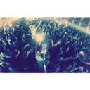 Justin Folsom - @itsfolsom - Twitter