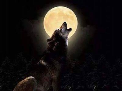 FebusMichael's profile picture. 