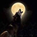 Michael Febus - @FebusMichael - Twitter