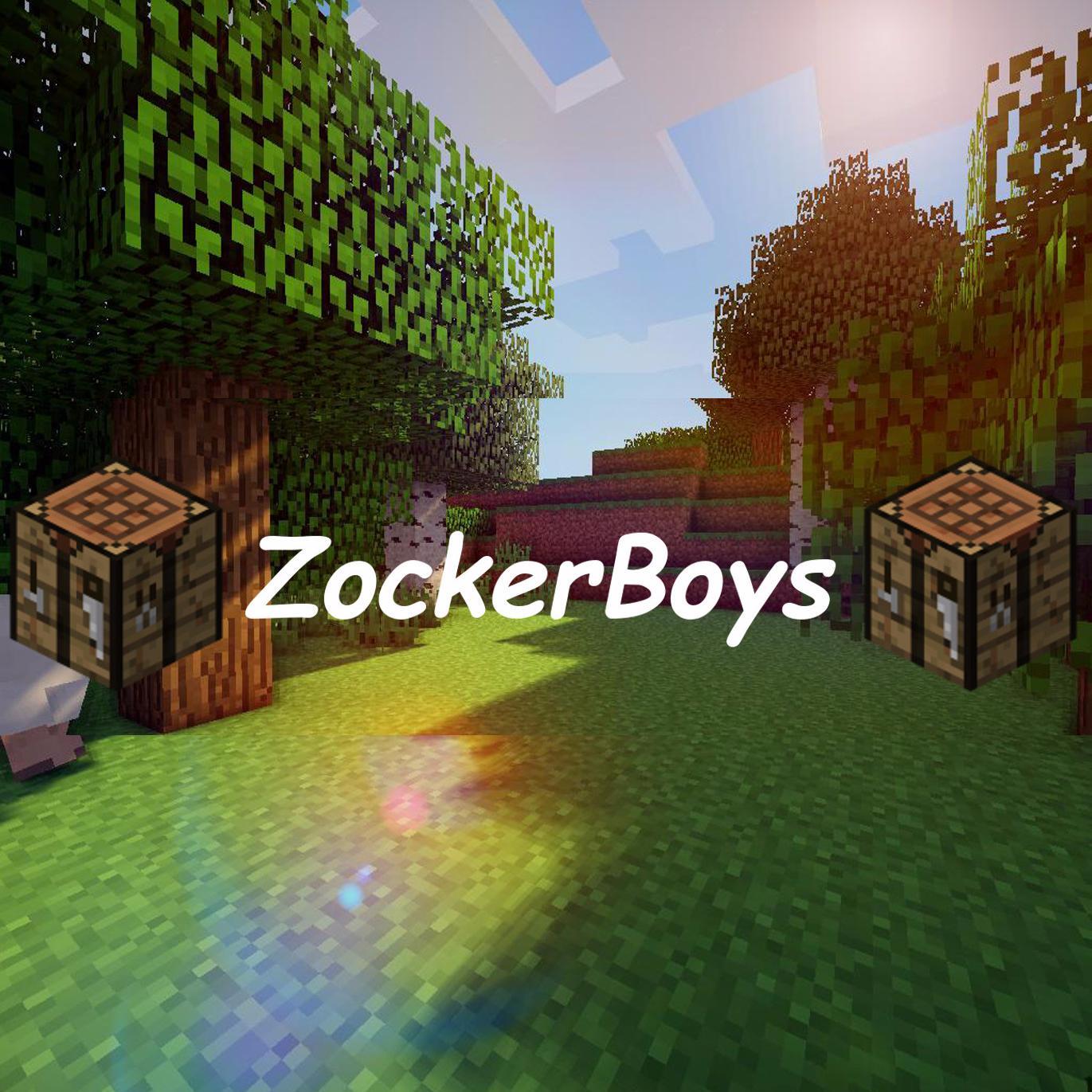 ZockerBoysFM's profile picture. 