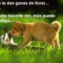 itala (@001Itala) Twitter